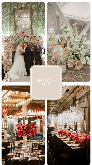 Lindsay + Luis Romantic Opulence