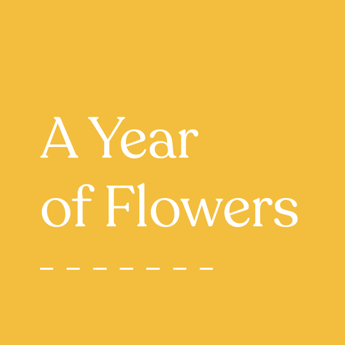 Gift Subscription: A Year of Flowers